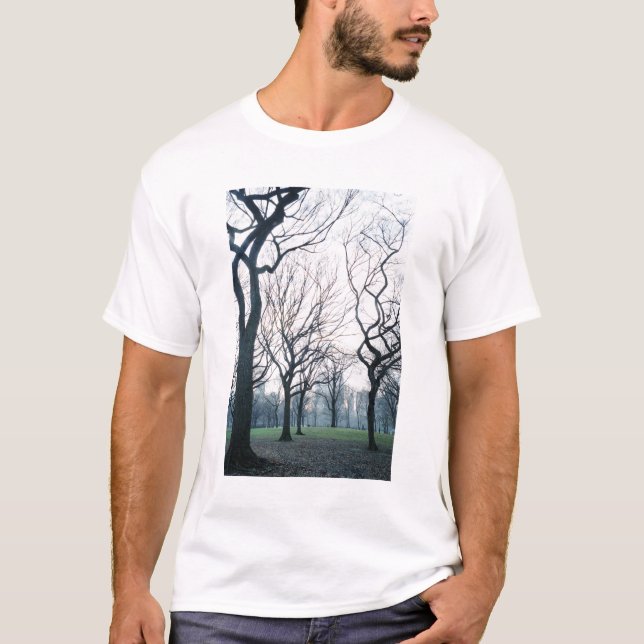Camiseta EUA, Nova York, Cidade de Nova York: Central Park (Frente)