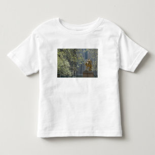 Camiseta EUA, Nova York, Cidade de Nova York, Manhattan: 16