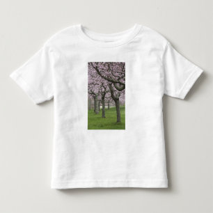 Camiseta EUA, Nova York, East Hampton. Cerejeiras em