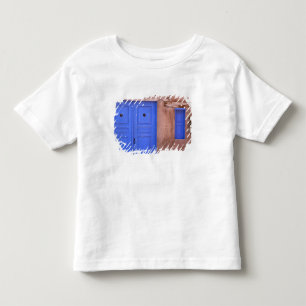 Camiseta EUA, Novo México, Santa Fe. Vista da porta azul e