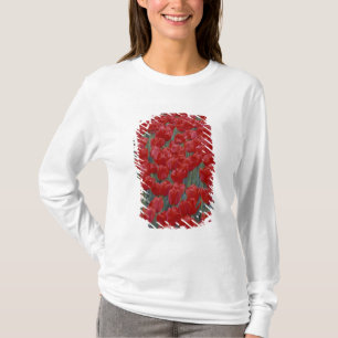 Camiseta EUA, Ohio, Cincinnati. Cama de tulipas vermelhas
