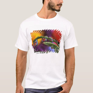 Camiseta EUA, Oregon, abstrato de close-up de roxo