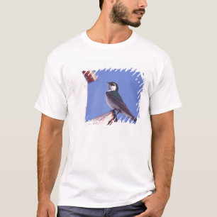 Camiseta EUA, Oregon. Andorinha-roxa Tachycineta