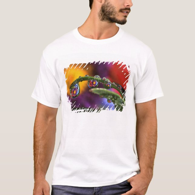 Camiseta EUA, Oregon, Close-up abstrato de roxo (Frente)
