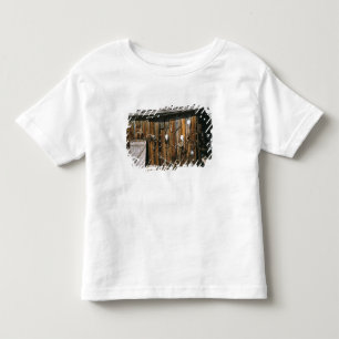 Camiseta EUA, Oregon, Condado de Harney. Antigo estábulo de
