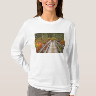 Camiseta EUA, Oregon, Floresta Nacional Willamette.