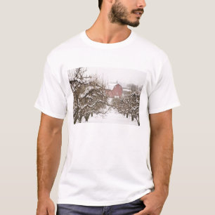 Camiseta EUA, Oregon, Hood River. Maçã coberta de neve