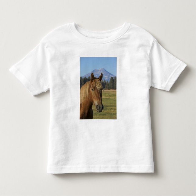 Camiseta EUA, Oregon, Irmãs, vista das Três Irmãs, (Frente)