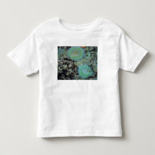 Camiseta EUA, Oregon, Neptuno SP. Mar com tons de joia
