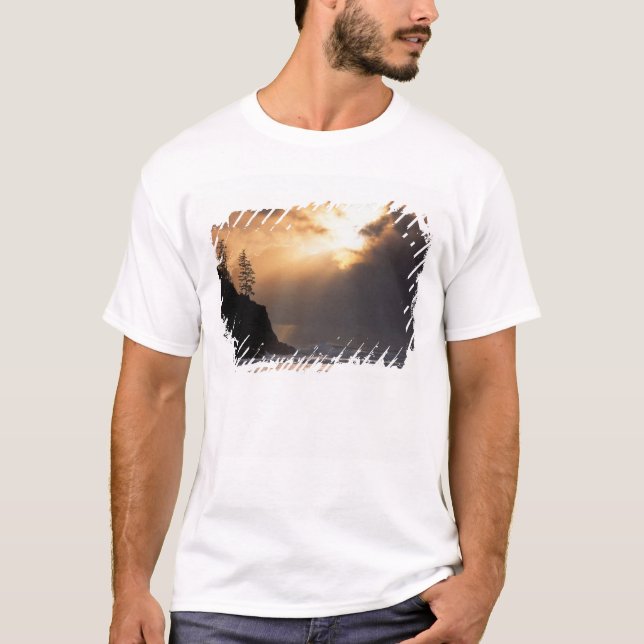 Camiseta EUA, Oregon, perto de Oswald West State Park, Tard (Frente)