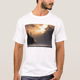 Camiseta EUA, Oregon, perto do Parque Estadual Oswald West,