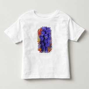Camiseta EUA, Oregon, Portland. Close-up de uva azul