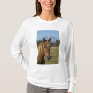 Camiseta EUA, Oregon, Sisters, vista de Three Sisters,
