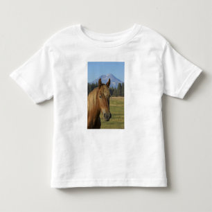 Camiseta EUA, Oregon, Sisters, vista de Three Sisters,