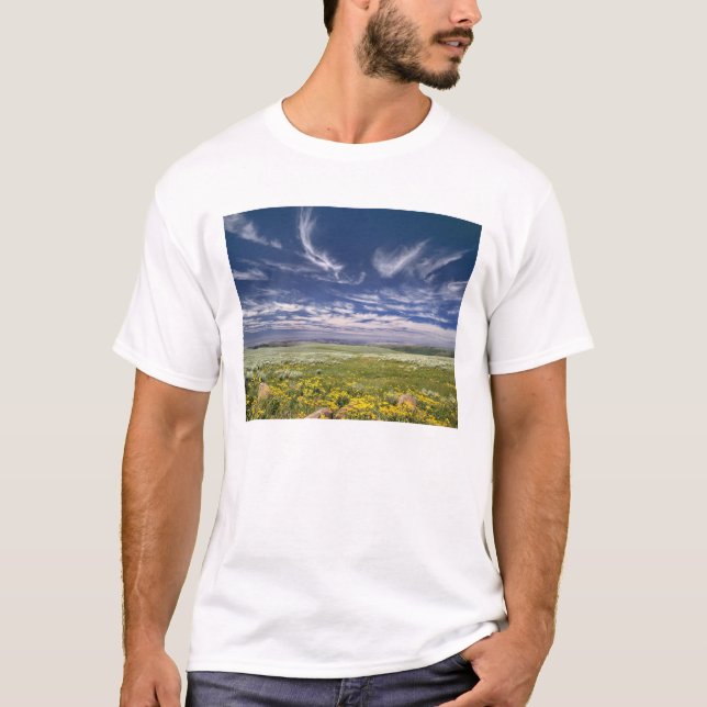 Camiseta EUA, Oregon, Steens Mountain. Primavera burgeons (Frente)