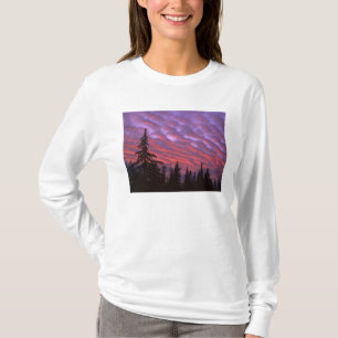 Camiseta EUA, Oregon, Three Sisters Wilderness, Vívido