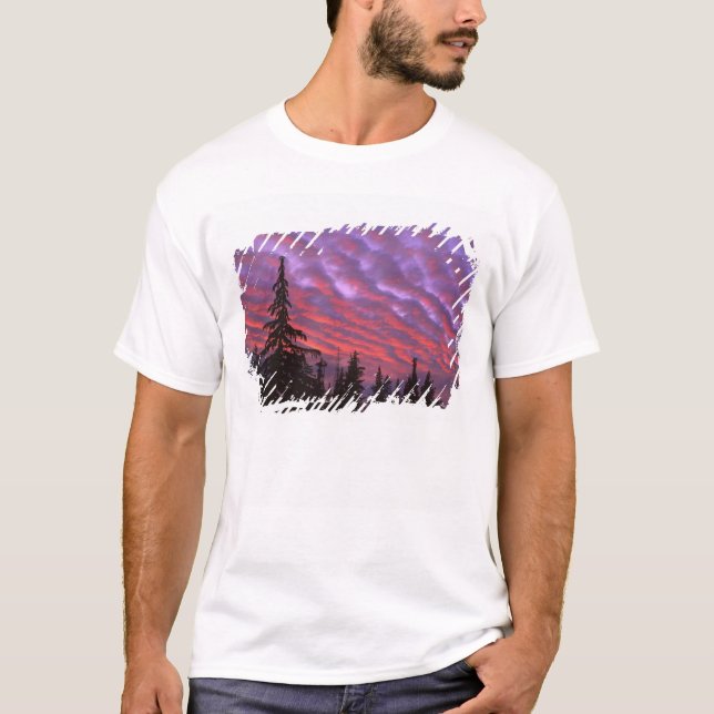 Camiseta EUA, Oregon, Three Sisters Wilderness, Vívido (Frente)