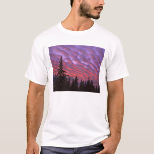 Camiseta EUA, Oregon, Three Sisters Wilderness, Vívido