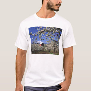 Camiseta EUA, Oregon, Vale do Rio Hood, Pomar de peras