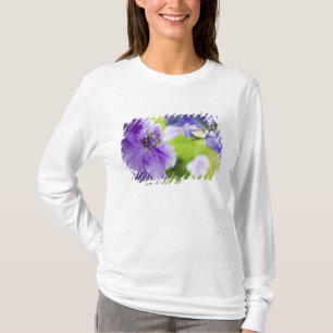 Camiseta EUA, Oregon, Vale do Willamette, Larkspur Close 2