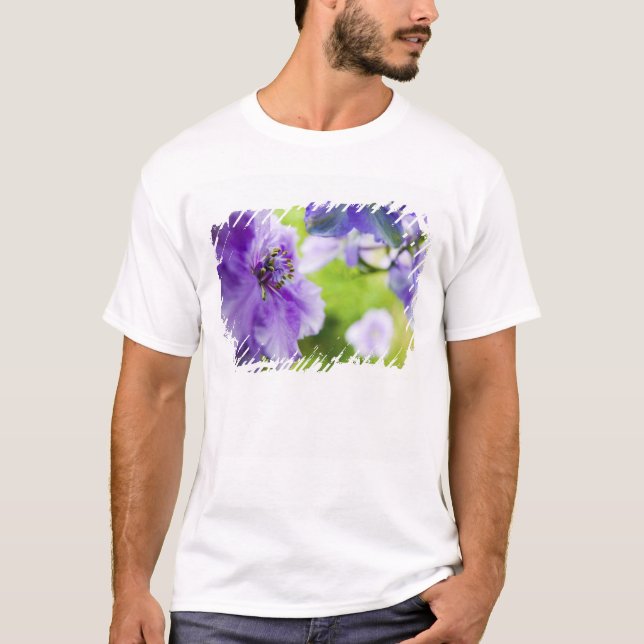 Camiseta EUA, Oregon, Vale Willamette, Larkspur Close 2 (Frente)