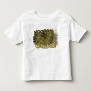 Camiseta EUA, Tennessee, Excelente Mountains National 2