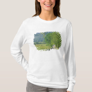 Camiseta EUA, Tennessee, Great Smoky Mountains NP,