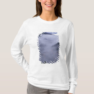 Camiseta EUA, Tennessee. Parque Nacional das Grandes Montan