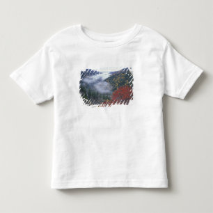 Camiseta EUA, Tennessee, Parque Nacional das Grandes Montan