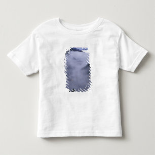 Camiseta EUA, Tennessee. Parque Nacional das Grandes Montan