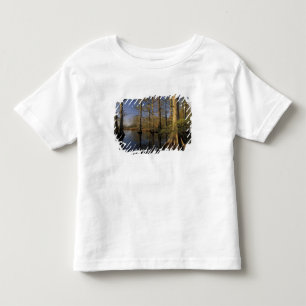 Camiseta EUA, Tennessee. Reelfoot National Wildlife