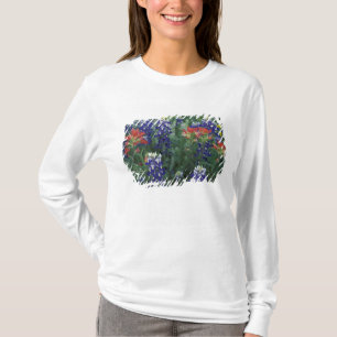 Camiseta EUA, Texas Hill Country. Bluebonnets e