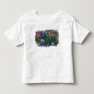 Camiseta EUA, Texas Hill Country. Bluebonnets e