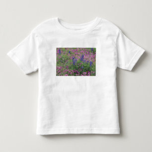 Camiseta EUA, Texas Hill Country. Bluebonnets entre phlox