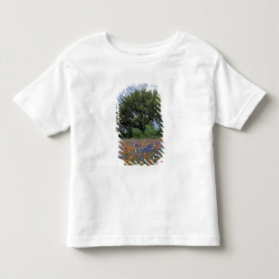 Camiseta EUA, Texas, Marble Falls Paintbrush e
