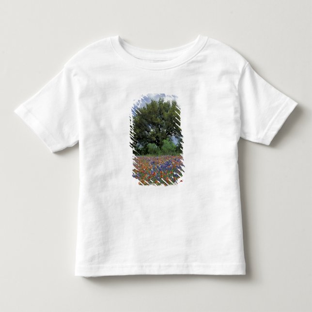 Camiseta EUA, Texas, Marble Falls Paintbrush e (Frente)