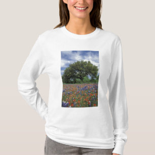 Camiseta EUA, Texas, Marble Falls Paintbrush e