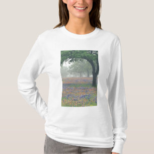 Camiseta EUA, Texas. Pincel de Texas e bluebonnets