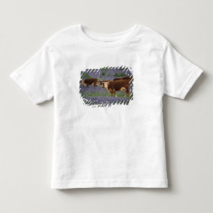 Camiseta EUA, Texas, Texas Hill Country, Hereford