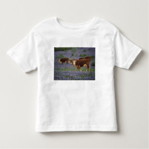 Camiseta EUA, Texas, Texas Hill Country, Hereford