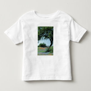 Camiseta EUA, Texas, Texas Hill Country Paintbrush e