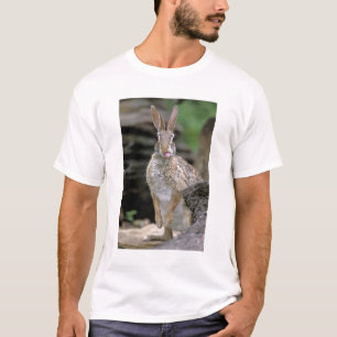 Camiseta EUA, Texas, Vale do Rio Grande. Deserto selvagem