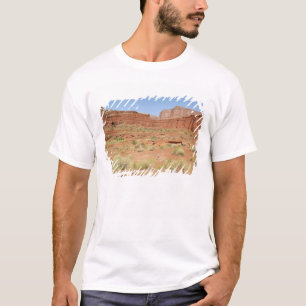 Camiseta EUA, Utah, Canyonlands NP, Shafer Canyon