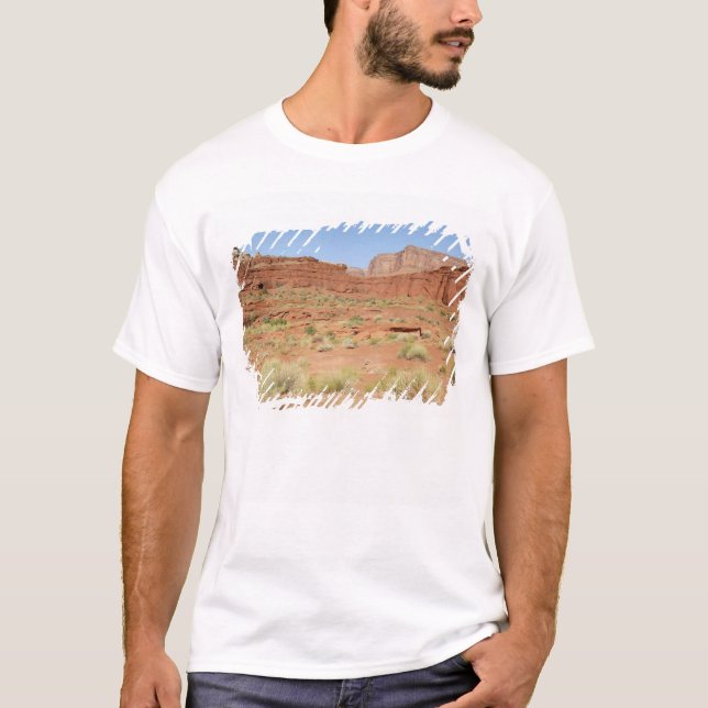 Camiseta EUA, Utah, Canyonlands NP, Shafer Canyon (Frente)