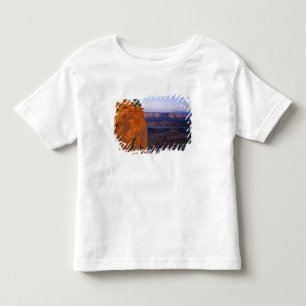 Camiseta EUA, Utah, Dead Horse Point SP. Luz tardia se tran
