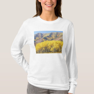 Camiseta EUA, Utah, Floresta Nacional Wasatch-Cache,