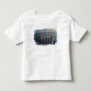 Camiseta EUA, Utah, Grande Bacia, Saltair, Grande Sal