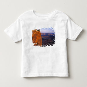 Camiseta EUA, Utah, Morto Horse Point SP. Luzes atrasadas