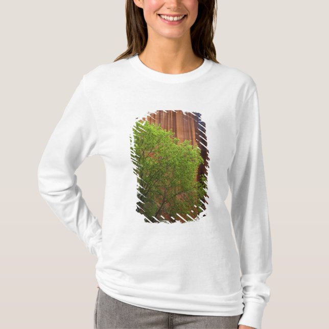 Camiseta EUA, Utah, Paria Canyon- Vermillion Cliffs (Frente)
