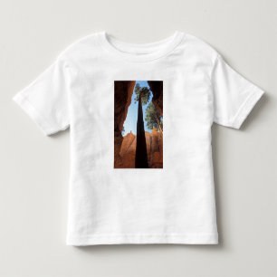 Camiseta EUA, Utah, Parque Nacional Bryce Canyon. Alto